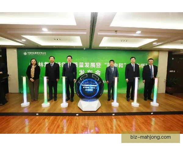 2026世界杯绿色办赛白皮书发布引领全球足球赛事绿色发展格局